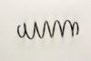 FIAT 50701367 Coil Spring